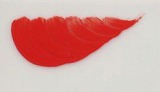 colors_cd004