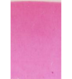 P8024